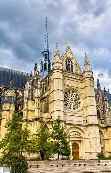 Details der orleanischen Kathedrale - Frankreich, Zentrum der Region — Stockfoto