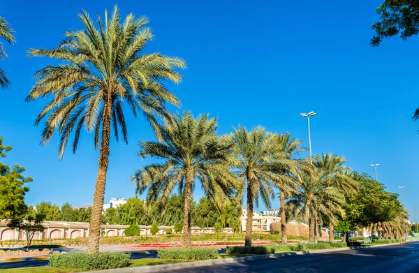 Calle Al Ain - Emirato de Abu Dhabi — Foto de Stock