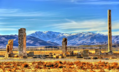 Bar-e Aam Palace adlı antik Pasargadae - Iran kalıntıları