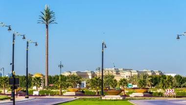 Dubai, Birleşik Arap Emirlikleri Zabeel Sarayı yakınındaki Bahçe