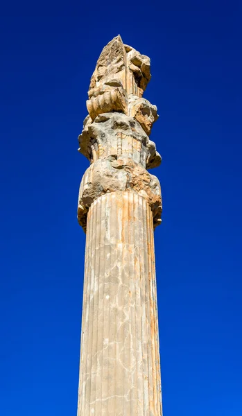 Oude kolom bij de Gate van alle naties - Persepolis, Iran — Stockfoto