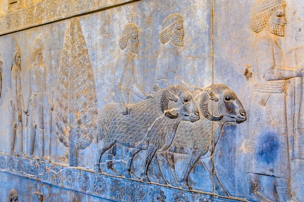 Ancient persian carving in Persepolis - Iran — Stock Photo, Image