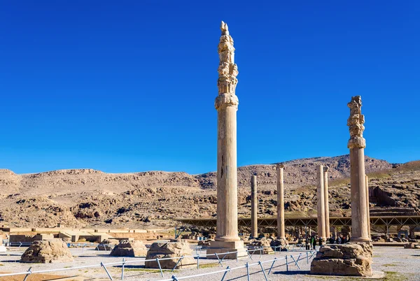 Ruins of Apadana Palace at Persepolis - Iran — Stock Photo, Image