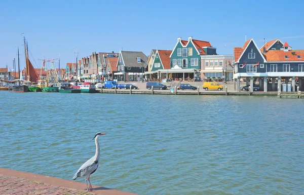 Edam-volendam, ijsselmeer, nord holland, niederland — Stockfoto