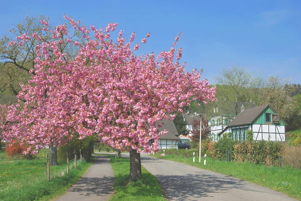 Bergisches Land, Solingen, Renânia do Norte Westfalia, Alemanha — Fotografia de Stock