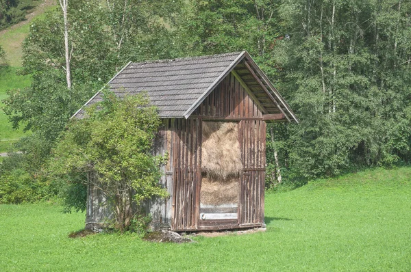 Granero de heno, Prado, Wildschoenau, Tirol, Alpes, Austria —  Fotos de Stock