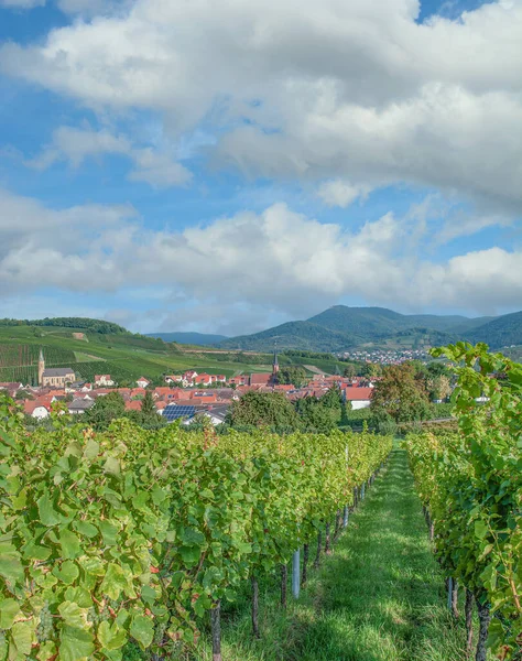 Wine Village of Birkweiler,Palatinate,Germany