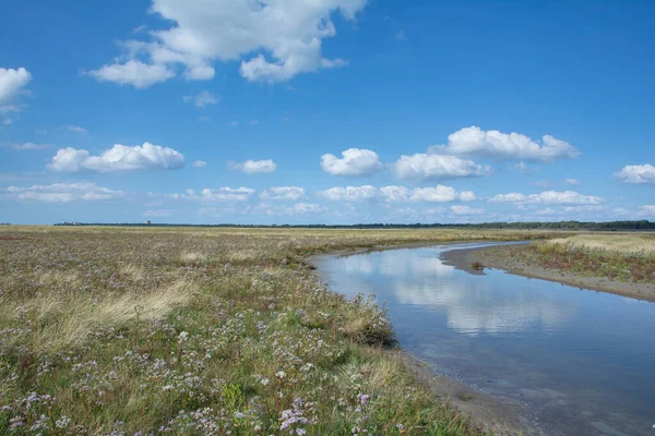 Salt Marsh Sankt Peter Ording North Sea North Frisia Germany — стокове фото