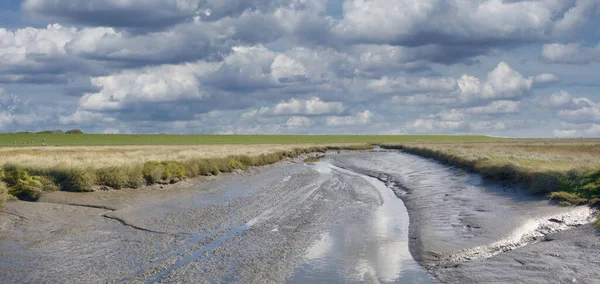 Salt Marsh in Westerhever at North Sea in North Frisia,Germany