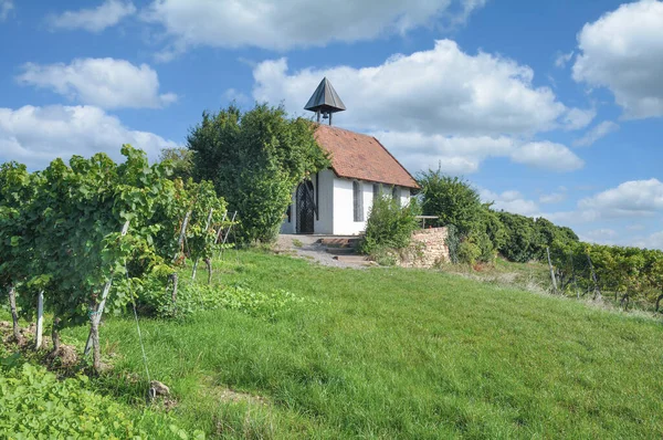 Chapel Nevű Michaelskapelle Bad Duerkheim Palatinate Németország — Stock Fotó