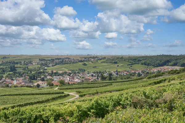 Wine Village Jugenheim Región Vinícola Rhinehessen Alemania — Foto de Stock