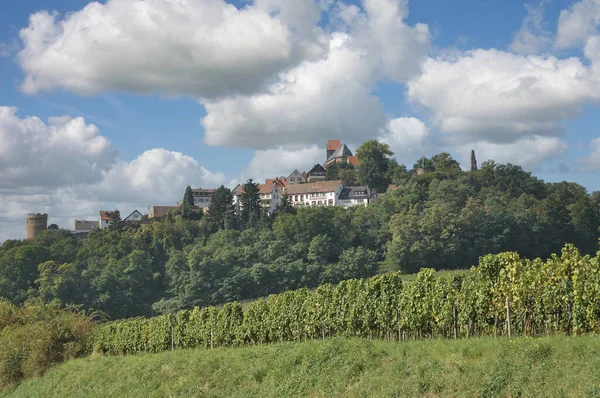 Виноробне Село Нойлейнінген Пфальці Німеччина — стокове фото