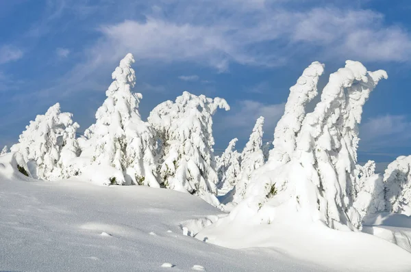 Landscape Brocken Mountain Harz Mountain Germany — Stock Photo, Image