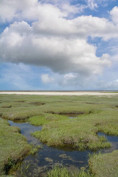 Salt Marsh Sankt Peter Ording Nel Mare Del Nord Frisia — Foto Stock