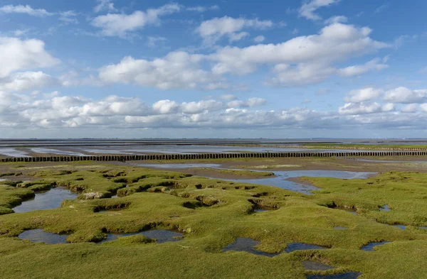 Salt Marsh Mar Del Norte Frisia Del Norte Alemania —  Fotos de Stock
