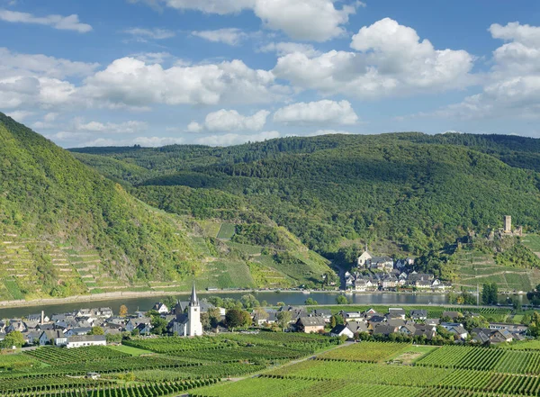 Paisaje Del Viñedo Cerca Beilstein Valle Del Mosel Alemania — Foto de Stock