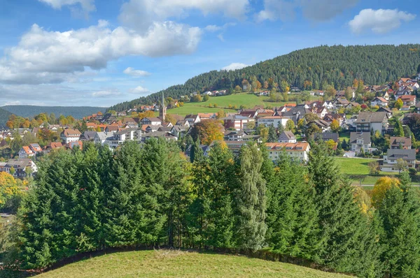 Village Baiersbronn Black Forest Németország — Stock Fotó