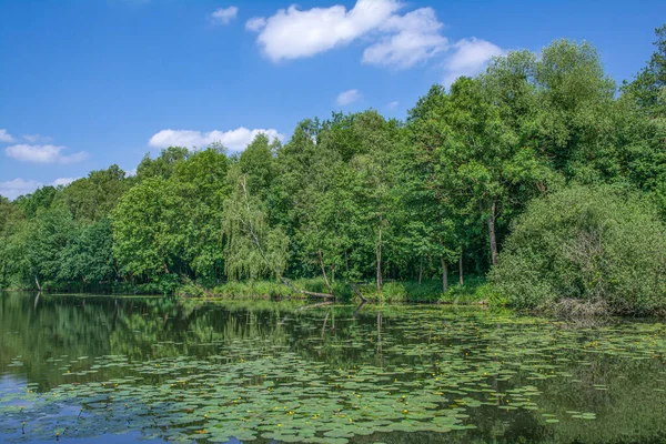 Lake Borner See Schwalm Nette Nature Reserve Rhineland Germany — Stock Photo, Image