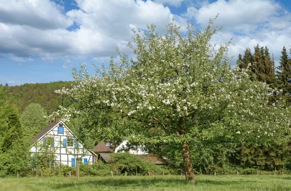 Primavera Bergisches Land Renânia Norte Westphalia Alemania — Fotografia de Stock