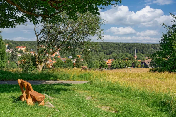 Vesnice Braunlage Harz Mountains Německo — Stock fotografie