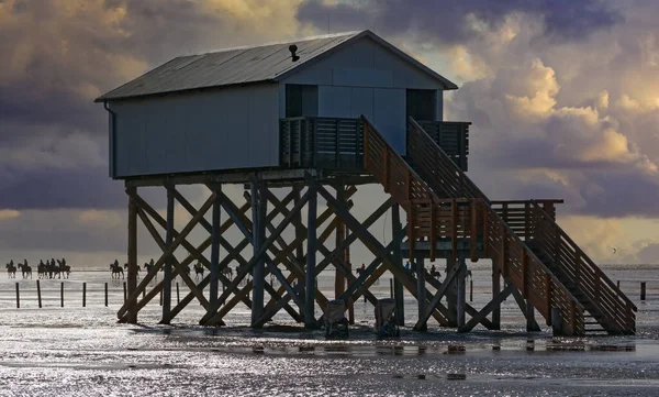 Stilt House Beach Sankt Peter Ording North Sea North Frisia — Photo