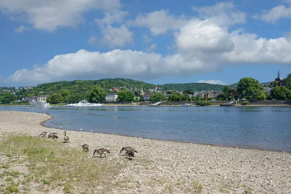 Linz Rhein Rhine River Alemanha — Fotografia de Stock