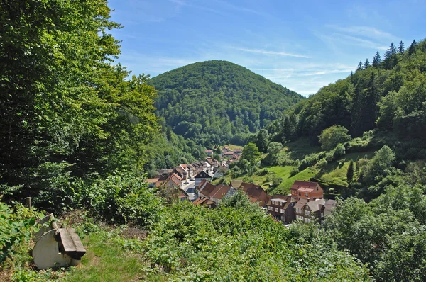 Aldeia de Zorge em Harz, Harz Mountain, Alemanha — Fotografia de Stock