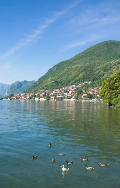 En el Lago de Como cerca de Tremezzo, Lagos italianos, Distrito de los Lagos Italianos, Italia — Foto de Stock