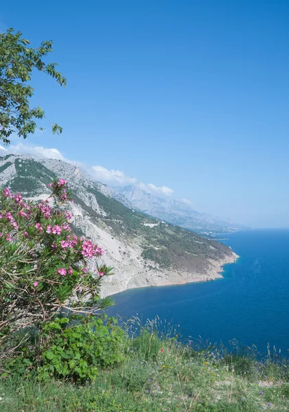 Paisaje costero cerca de Brela en Makarska Riviera, Mar Adriático, Dalmacia, Croacia — Foto de Stock