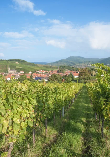 Wina wieś Birkweiler niemieckiego wina trasy, Nadrenia-Palatynat, Niemcy — Zdjęcie stockowe