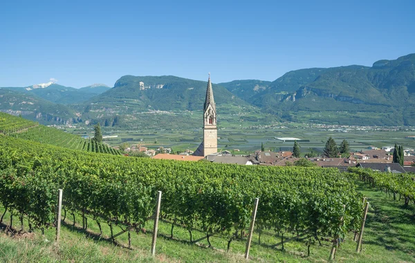Wine Villageof Tramin, South Tyrolean Wine Road, South Tirol, Itália — Fotografia de Stock