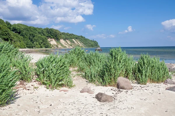 Goehren, île de Ruegen, mer Baltique, Mecklembourg Poméranie occidentale, Allemagne — Photo