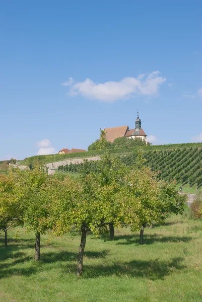 Région viticole franconienne, Basse Franconie, Bavière, Allemagne — Photo