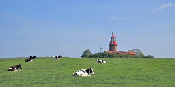 Bastorf, Mecklemburgo Pomerania Occidental, Mar Báltico, Alemania — Foto de Stock