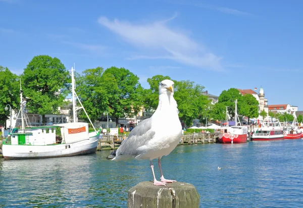 Am alten strom, Wahrzeichen von Warnemünde, Ostsee, Deutschland — Stockfoto