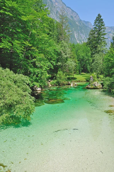 Sava Bohinjka River near Bled in Triglav National Park,Slovenia — Stock Photo, Image