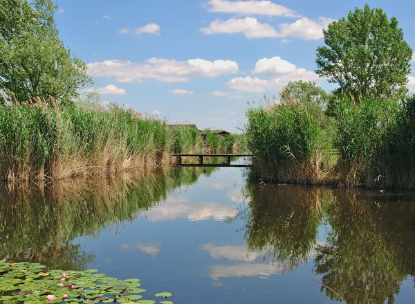 Lake Neusiedler See, Burgenland, Áustria — Fotografia de Stock