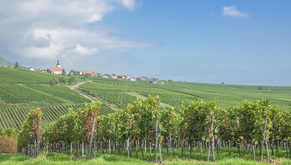 Wijn dorp van Weyher op Duitse wijn Road, Rijnland-Palts, Duitsland — Stockfoto