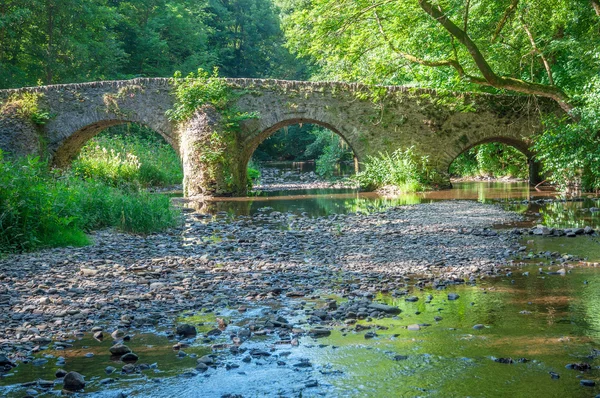 Historic Niester Bridge, Westerwald, Alemanha — Fotografia de Stock