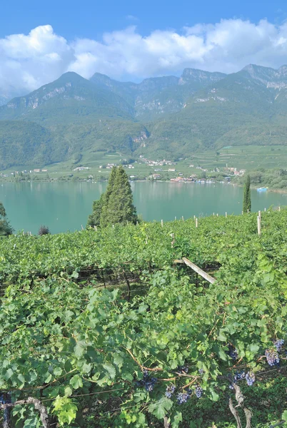 Lago Caldaro, Tirol do Sul, Itália — Fotografia de Stock