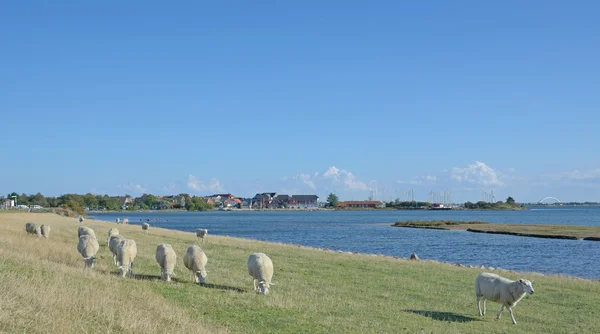 Lemkenhafen, Fehmarn, Βαλτική θάλασσα, Γερμανία — Φωτογραφία Αρχείου