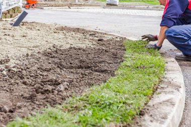 Unrolling çim, çim uygulama için yeni bir çim rulo