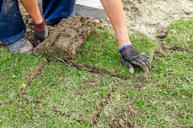 Unrolling çim, çim uygulama için yeni bir çim rulo