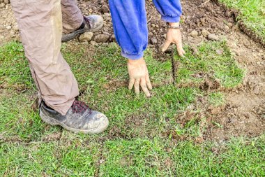 Unrolling çim, çim uygulama için yeni bir çim rulo