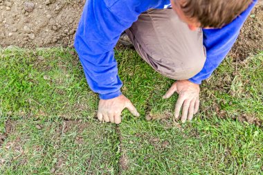 Unrolling çim, çim uygulama için yeni bir çim rulo