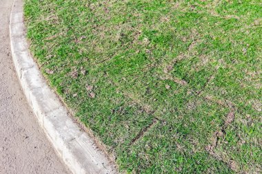 Unrolling çim, çim uygulama yeni çimenlerin üzerinde rulo