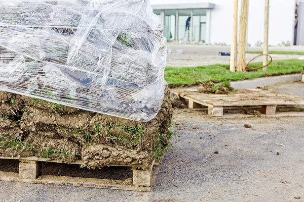 Pallet of sod rolls are wrapped in foil, unrolling grass — Stock Photo, Image