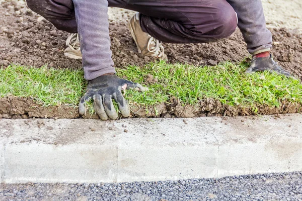 Unrolling grass, applying turf rolls for a new lawn — Stock Photo, Image