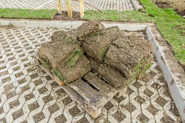 Heap de rolos de sod para a instalação de novo gramado, desrolando grama — Fotografia de Stock