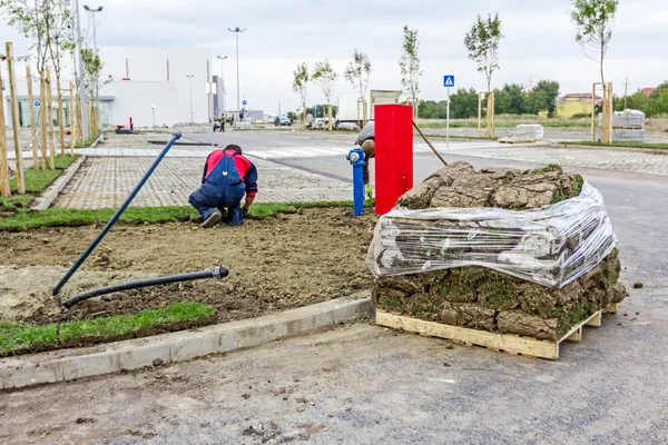 Unrolling çim, çim uygulama için yeni bir çim rulo